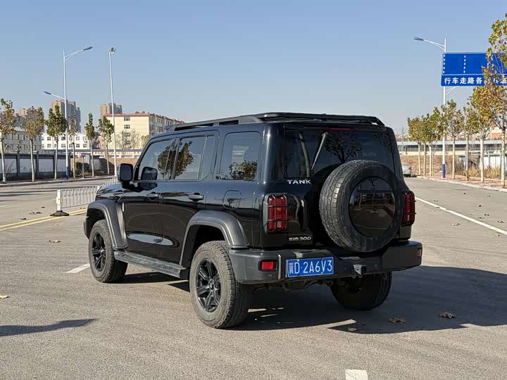 Фото 6 - Tank 300