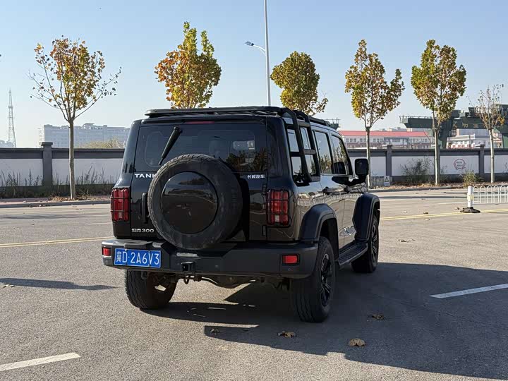 Фото 7 - Tank 300