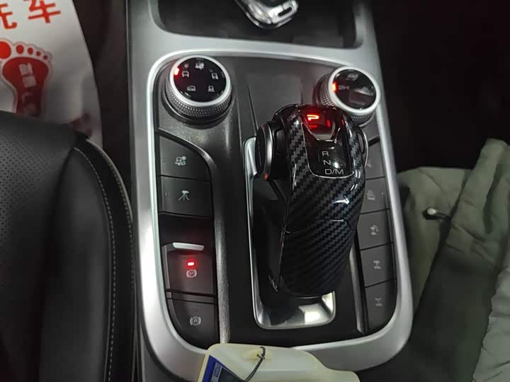 Фото 14 - Tank 300