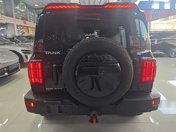 Фото 6 - Tank 300