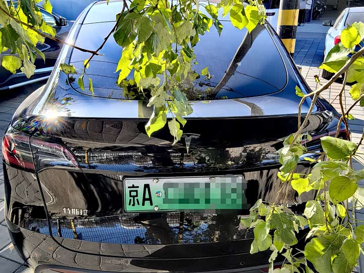Фото 9 - Tesla Model Y
