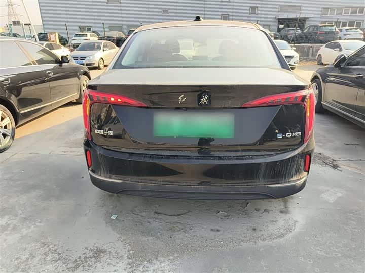 Фото 6 - Hongqi E-QM5