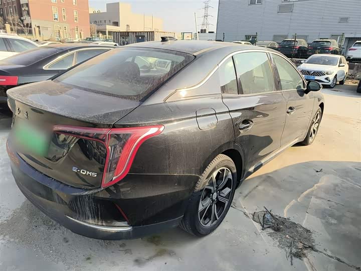 Фото 7 - Hongqi E-QM5