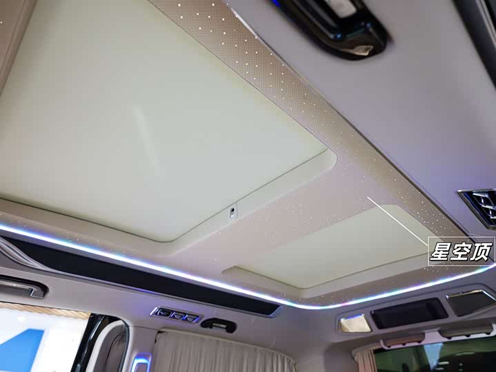 Фото 11 - Mercedes-Benz V-Class