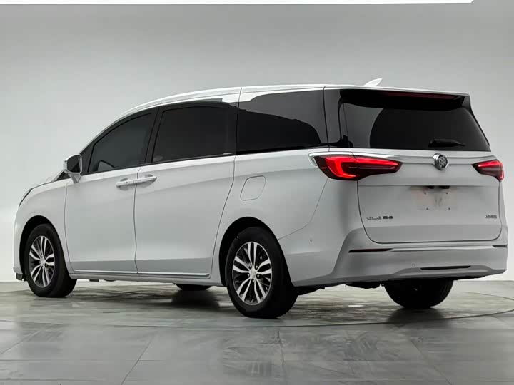 Фото 6 - Buick GL8 ES