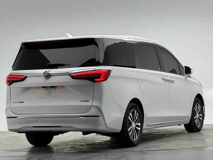 Фото 7 - Buick GL8 ES