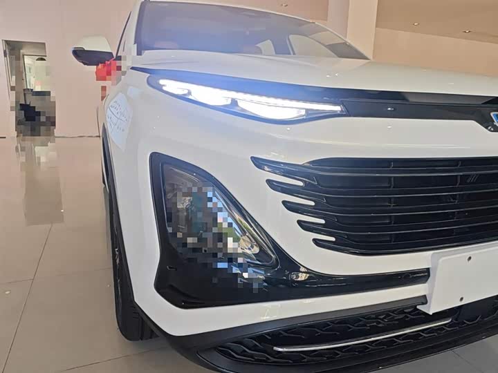 Фото 13 - Bestune T90