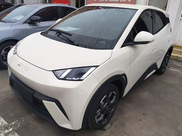 Фото 1 - BYD Seagull