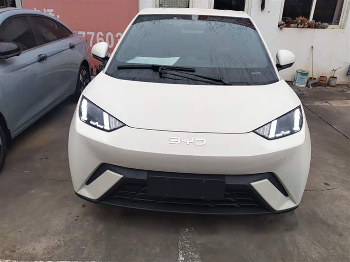 Фото 3 - BYD Seagull