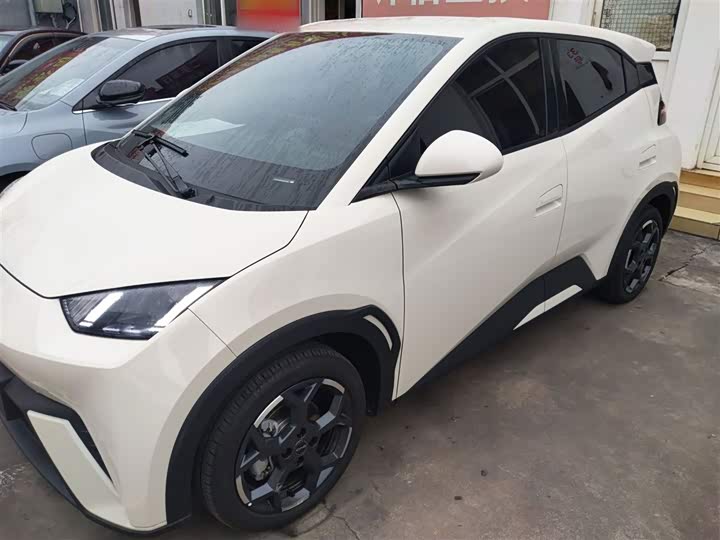 Фото 5 - BYD Seagull