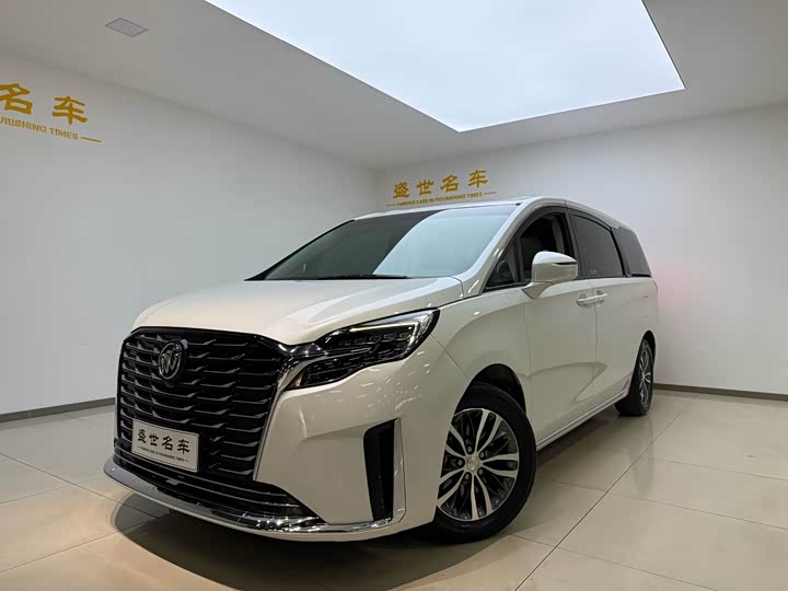 Фото 1 - Buick GL8 ES