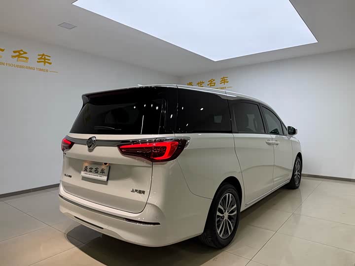 Фото 19 - Buick GL8 ES