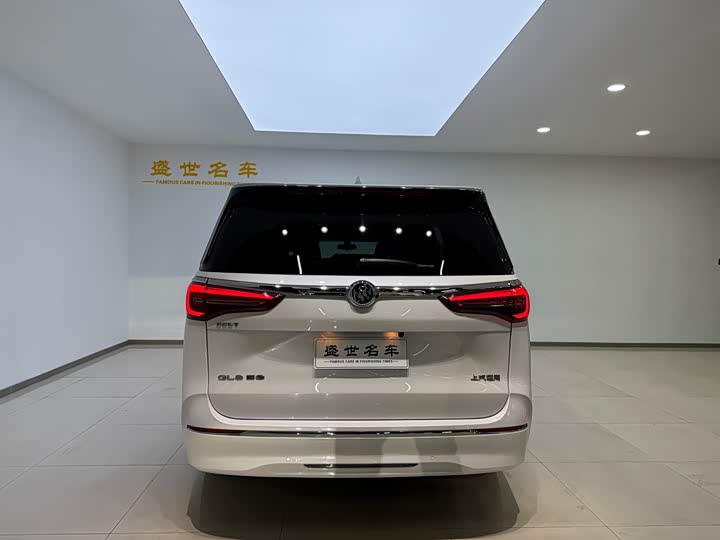 Фото 20 - Buick GL8 ES