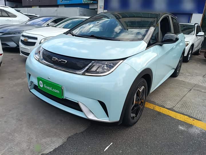 Фото 2 - BYD Dolphin