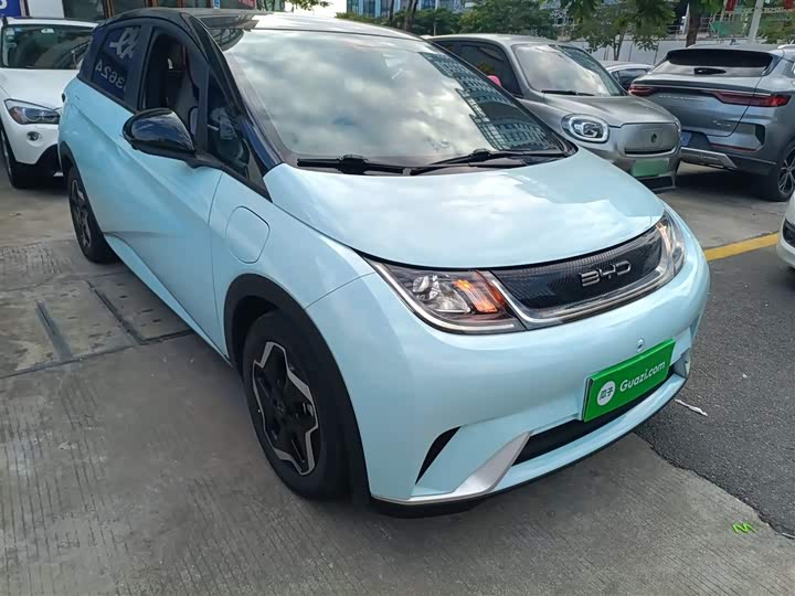 Фото 4 - BYD Dolphin