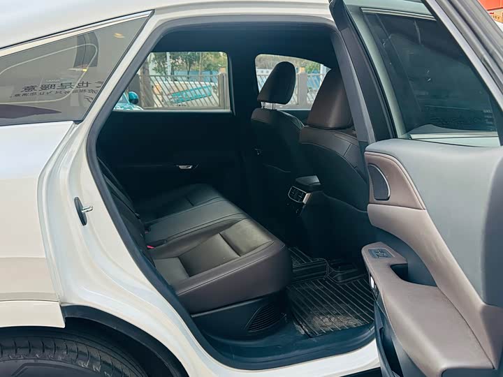 Фото 11 - Lexus RX