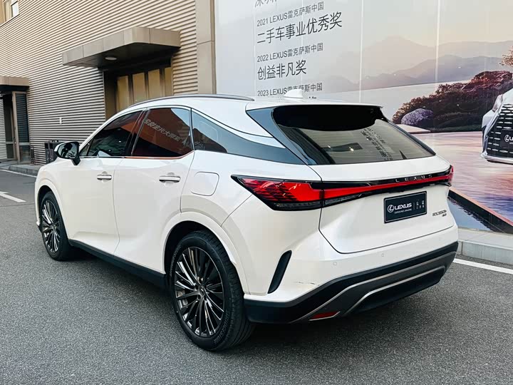 Фото 14 - Lexus RX