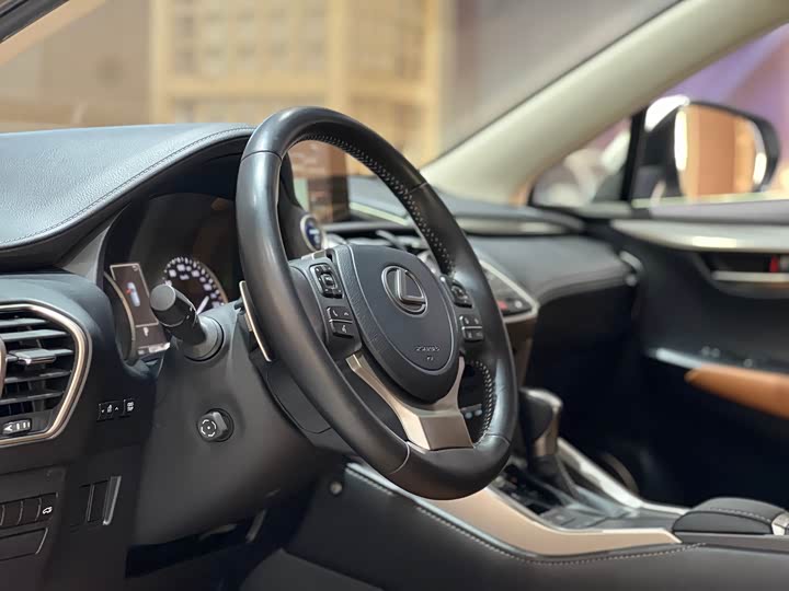 Фото 10 - Lexus NX