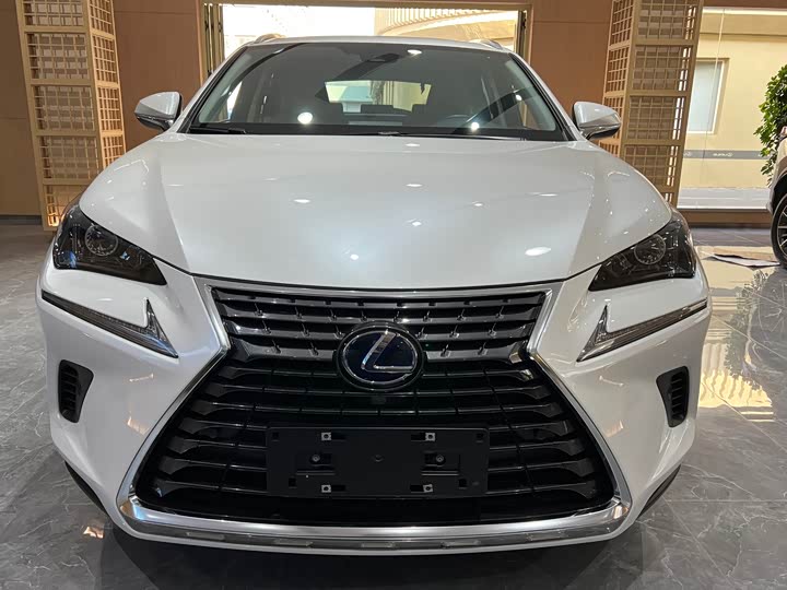 Фото 2 - Lexus NX