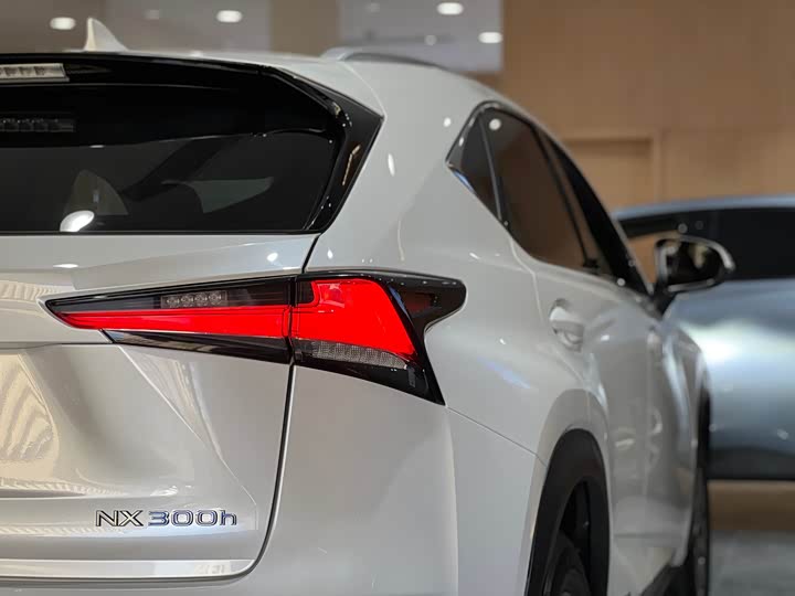 Фото 8 - Lexus NX