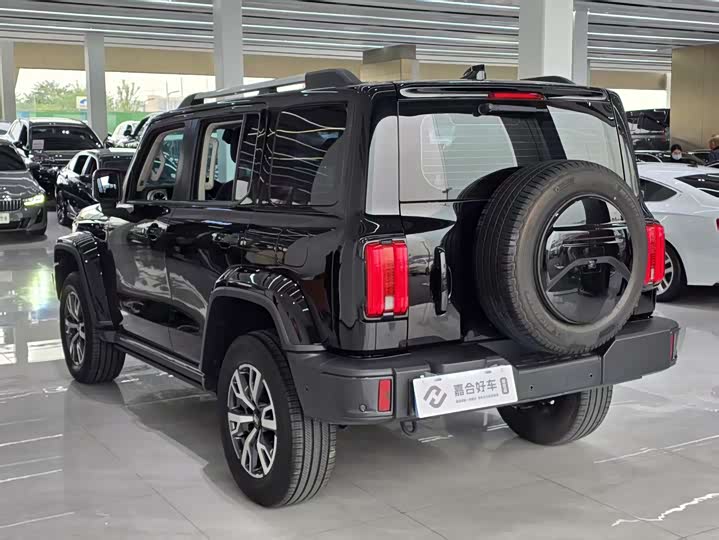 Фото 17 - Tank 300