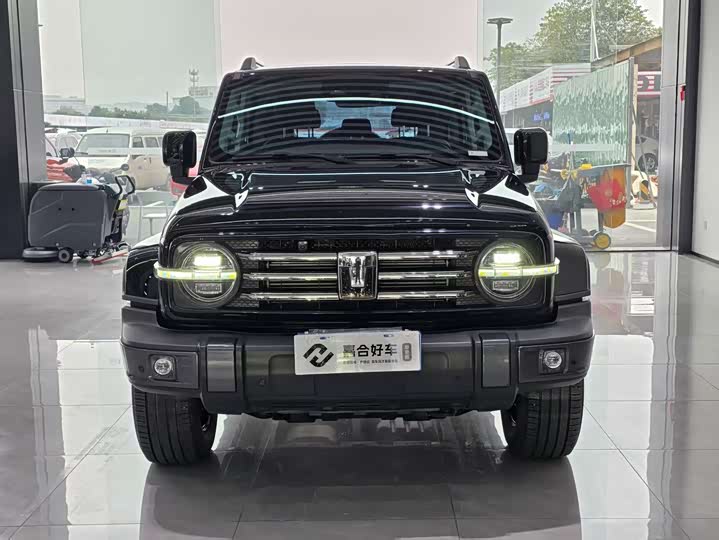 Фото 2 - Tank 300