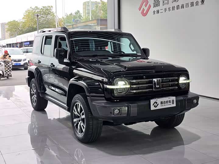 Фото 3 - Tank 300