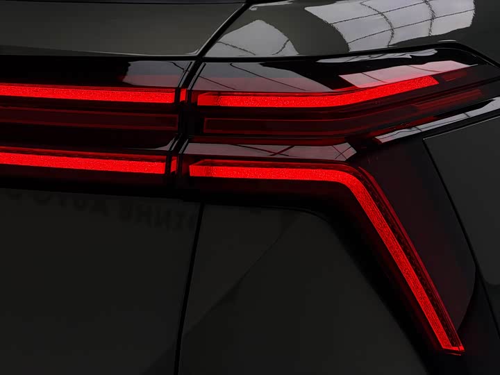 Фото 4 - Wey Lanshan