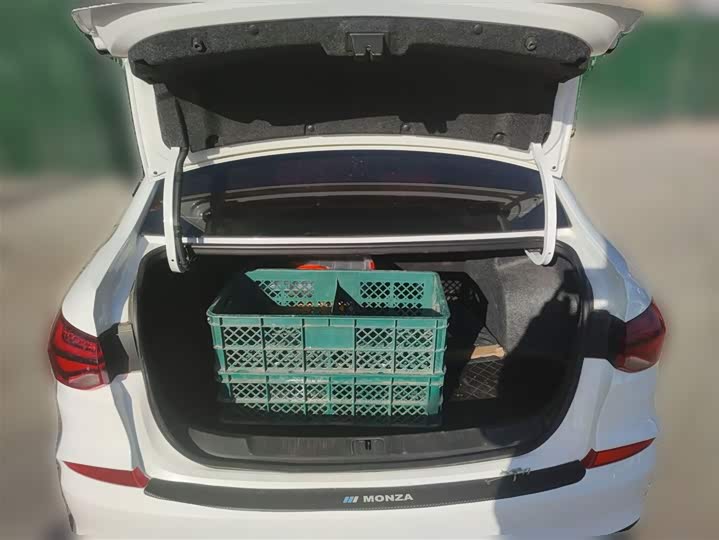 Фото 10 - Chevrolet Monza