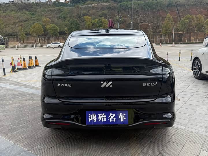 Фото 4 - IM motors LS6