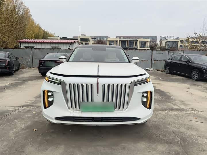 Фото 3 - Hongqi E-HS9