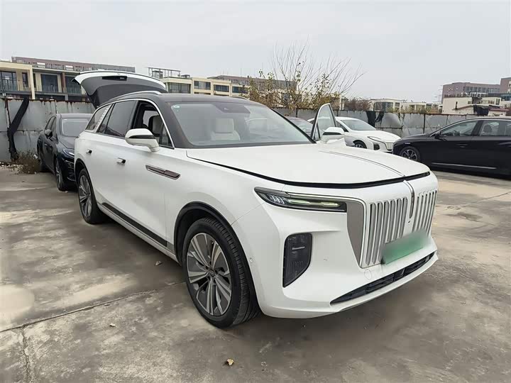 Фото 4 - Hongqi E-HS9