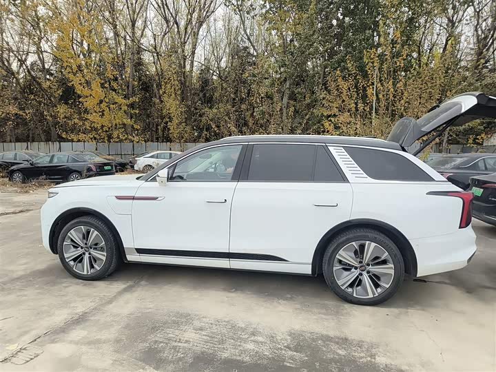 Фото 5 - Hongqi E-HS9