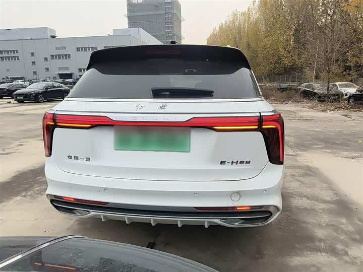 Фото 6 - Hongqi E-HS9