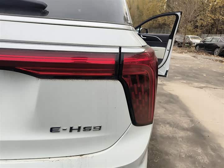 Фото 8 - Hongqi E-HS9