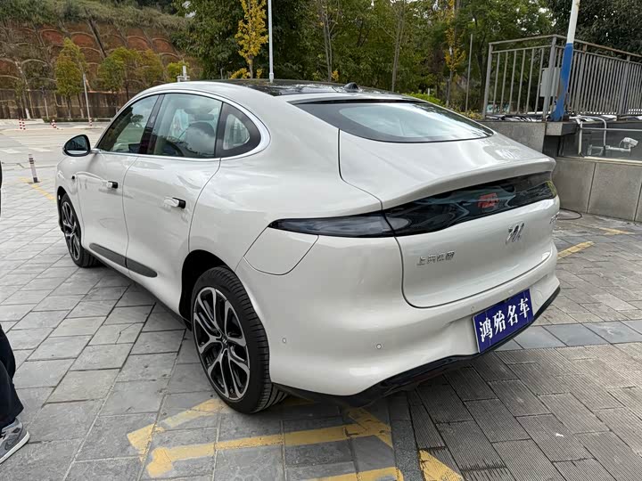 Фото 10 - IM motors LS6