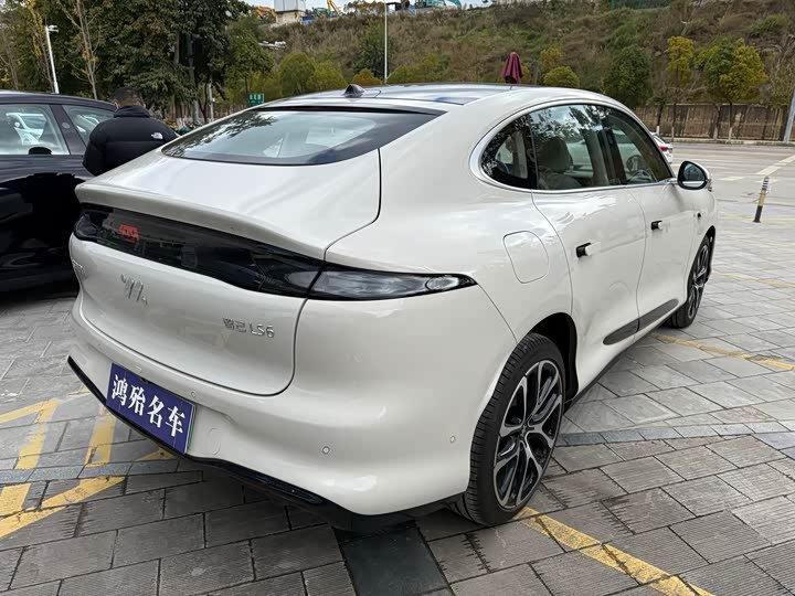 Фото 8 - IM motors LS6