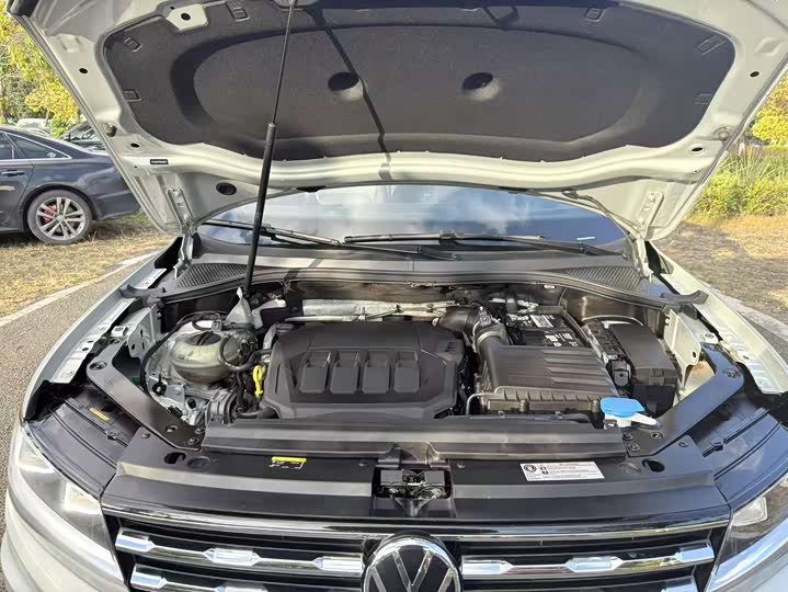 Фото 28 - Volkswagen Tiguan L Pro