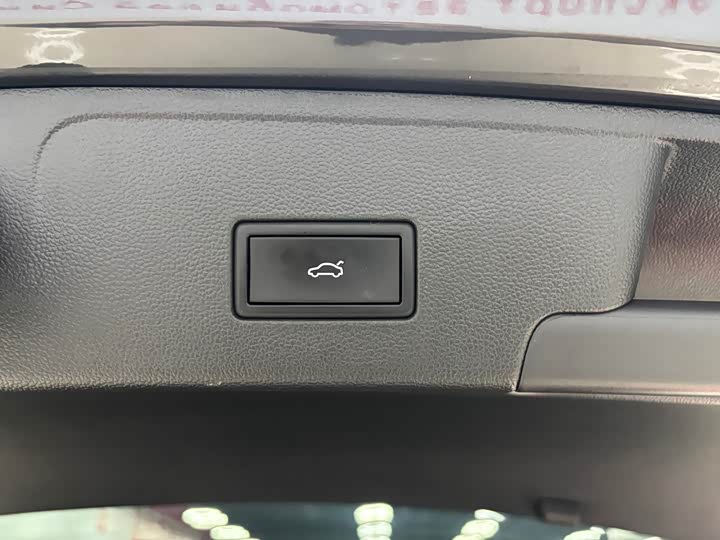 Фото 20 - Volkswagen Teramont X