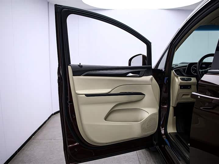 Фото 11 - Buick GL8 ES