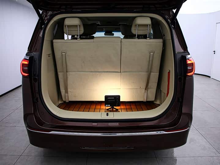 Фото 15 - Buick GL8 ES