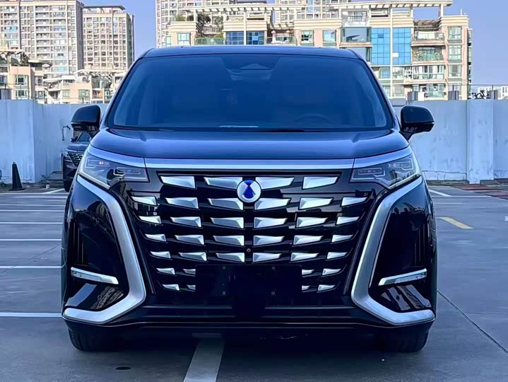 Фото 2 - Denza D9