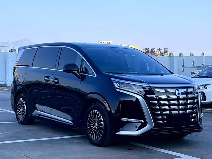 Фото 3 - Denza D9