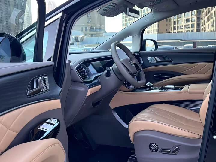 Фото 4 - Denza D9