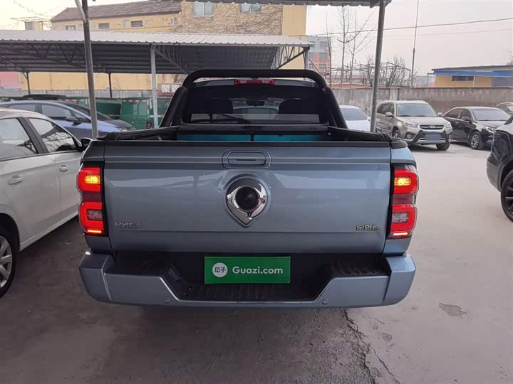 Фото 6 - Great Wall King Kong Poer