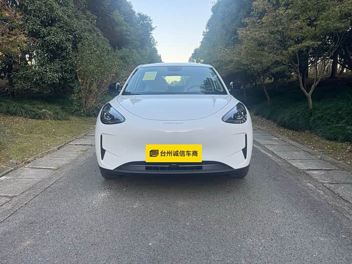 Фото 2 - Geely Galaxy Geome