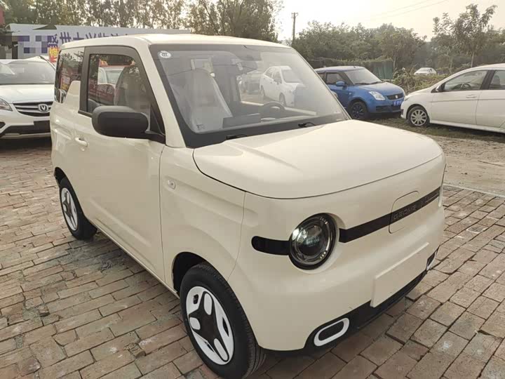 Фото 4 - Geely Galaxy Panda Mini