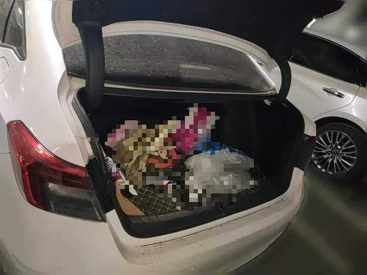 Фото 10 - Honda Civic