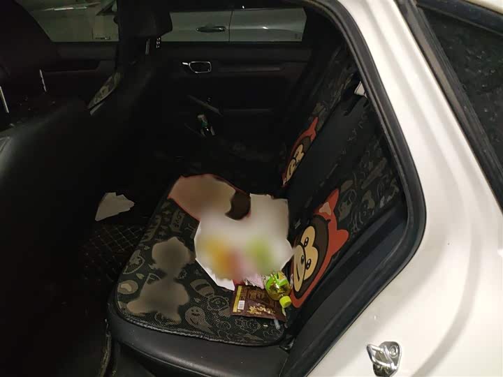 Фото 15 - Honda Civic