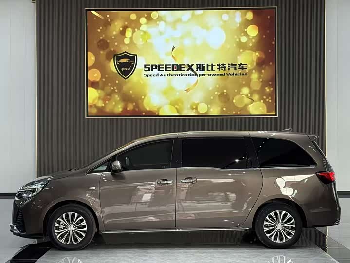 Фото 16 - Buick GL8 ES